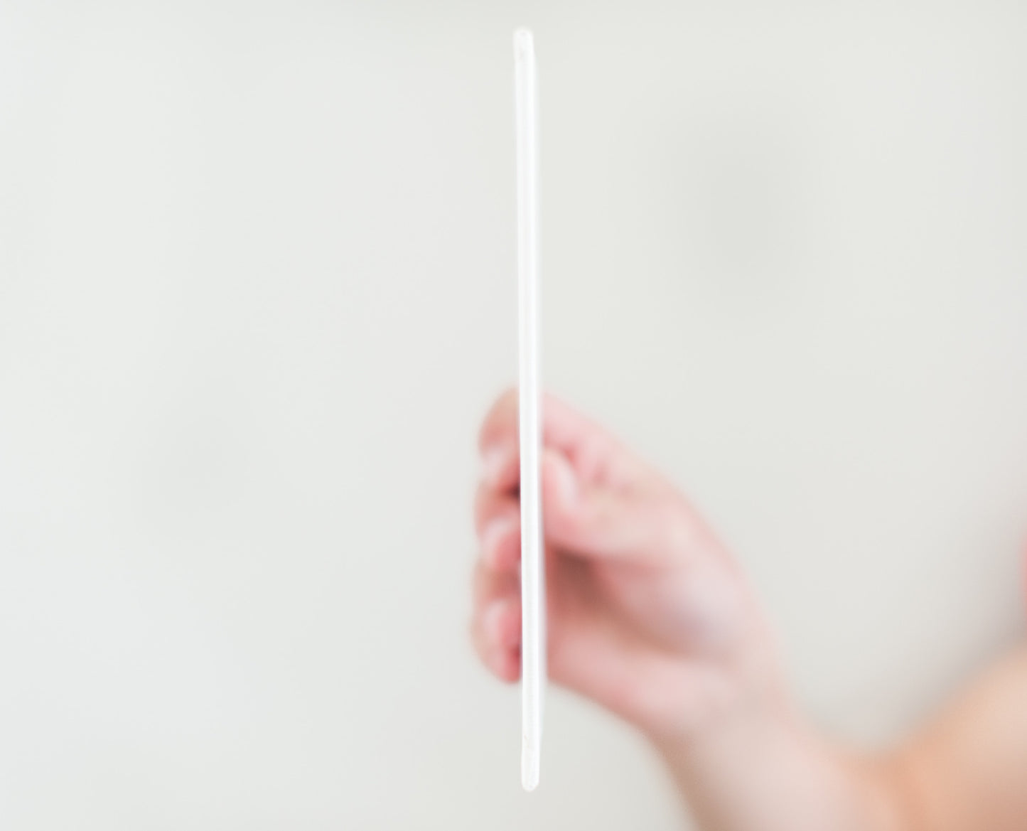 Beginning & End Valentine's Bear