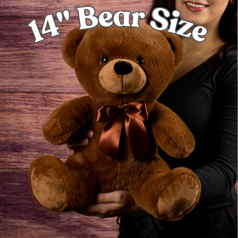 I Love You This Much Valentine's Bear
